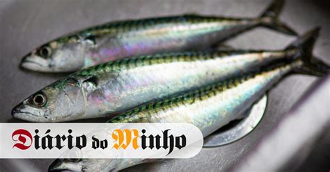 Comer Mais Sardinha E Menos Carne Vermelha Pode Salvar At Mil