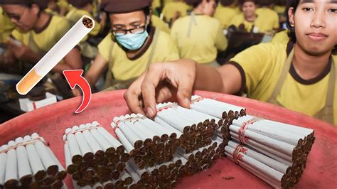 How Cigarettes Are Made In Factory Cigarette Manufacturing Process Cigarette Factory