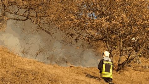 In Fiamme Un Ettaro Di Bosco A Fontainemore La Stampa