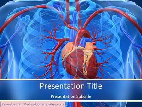 Cardiovascular System Diseases Power Point Templates