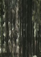 Nu Vandrer Livet Nude Scenes Aznude