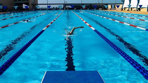 La Natación Colegio El Haya Tercer Ciclo