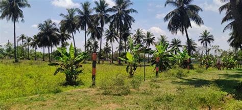 Farm Land For Sale In Madhurandagam Chennai Rei