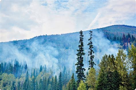Wildfire Emergency Relief Program | Beem Credit Union