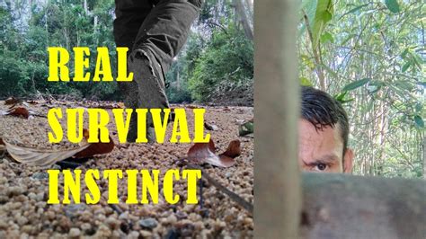 REAL SURVIVAL INSTINCT CARA BERTAHAN HIDUP DI HUTAN MASAK DI PONDOK