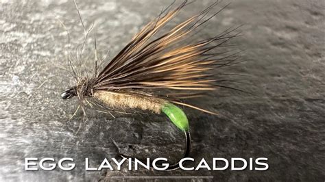 Egg Laying Caddis Dry Fly Fly Tying With John Murphy Youtube