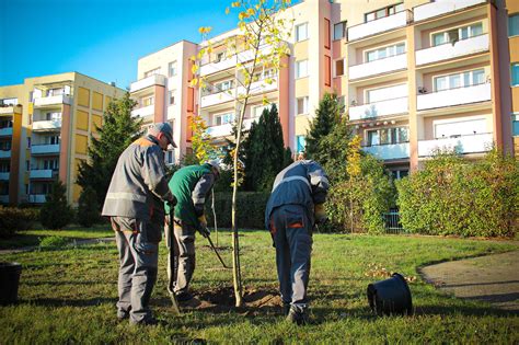 Podsumowanie 2021 Blog Sadzimy drzewa Po prostu Chcesz być