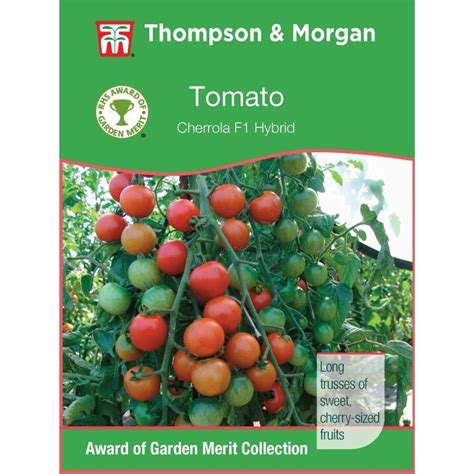 Thompson And Morgan Tomato Cherrola F1 Coolings Garden Centre