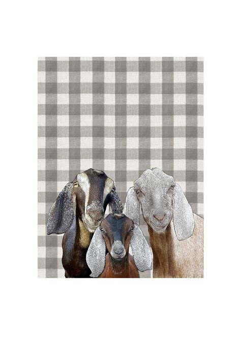 Nubian Goats Kitchen Towel X Inches Flour Sack Material Alphie