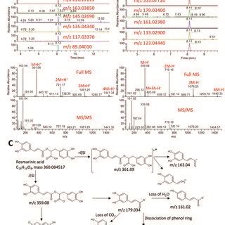 Total Ion Chromatogram Tic And Extracted Ion Chromatograms Eic Of