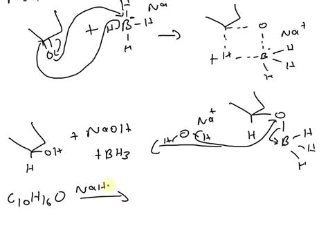 Solved Draw The Mechanism For The Reduction Of Camphor With Sodium