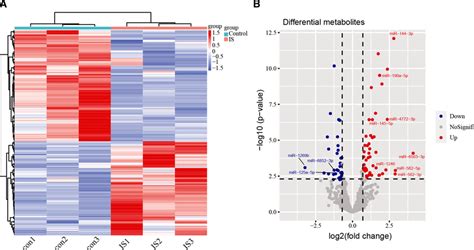 Rna Sequencing Results A Heat Map Of Differential Mirs Expression By Download Scientific