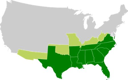 The Confederacy | Definition, History & Overview | Study.com