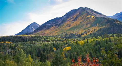 Alpine Loop Wasatch Mountains Fall Colors - Michael Bradshaw