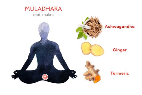 Herbs For The Chakras From Root To Crown Organic India