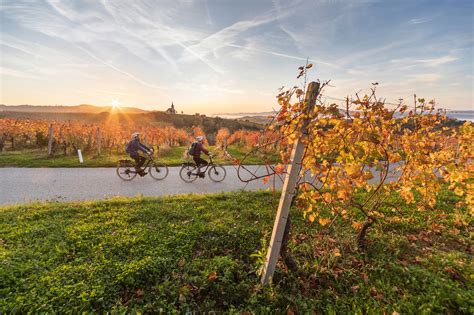 Najlep E Kolesarske Poti Po Sloveniji Citylife Urbani Lifestyle Magazin