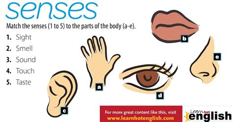 For My Students Do You Know The 5 Senses In English