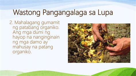 Epp 5 Agri Paghahanda Sa Lupang Pagtataniman Ppt