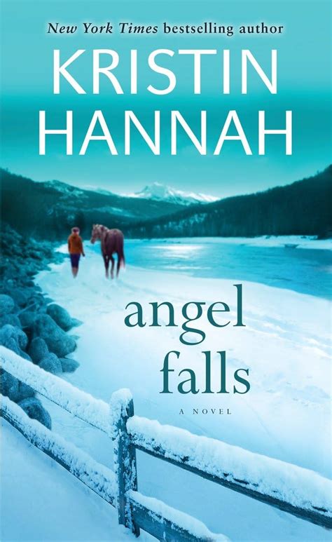 Angel Falls A Novel Hannah Kristin Amazon Ca Books