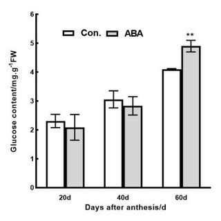 Effects Of Exogenous Aba Treatment On Fruit Weight And Longitudinal