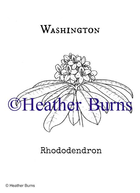 State Flower Coloring Book: Washington State Flower: Rhododendron