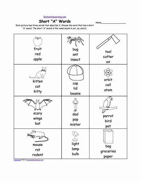 Long A Sound Words Worksheet Letter Words Unleashed Exploring The