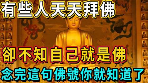 有些人天天拜佛，卻不知道自己就是佛！抓緊念這句佛號，如果你出現感應，就是佛菩薩轉世！後半生福報甩都甩不掉！丨佛談大小事 Youtube