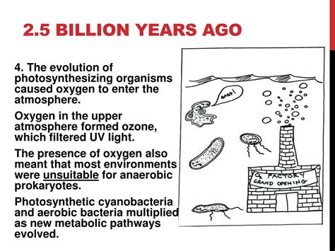 Ppt Unit 3a Origins Of Life Powerpoint Presentation Free Download Id1931684