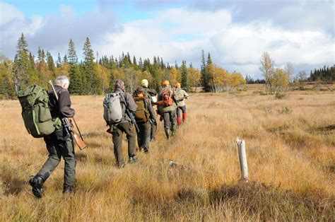 Nya gränser för älgförvaltningsområden i Jämtland och Gävleborg