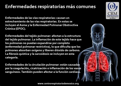 Miel Escepticismo Altoparlante Que Son Las Enfermedades Del Sistema