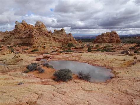 Best Hikes and Trails in Vermilion Cliffs National Monument | AllTrails