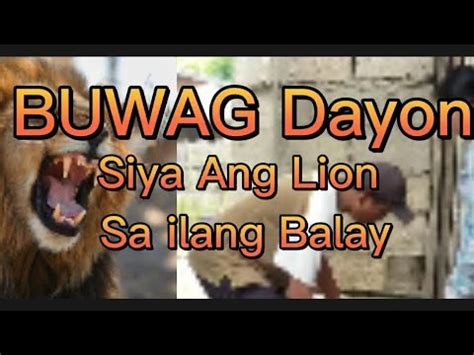 Buwag Dayon Siya Ang Lion Sa Kanilang Bahay Youtube