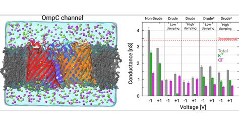 Computational Modeling Of Ion Transport In Bulk And Through A Nanopore