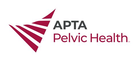 APTA Pelvic Health Board At The Bar APTA Pelvic Health