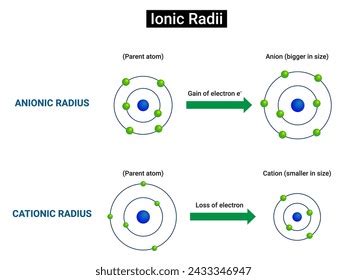 40 Ionic Radius Stock Vectors and Vector Art | Shutterstock