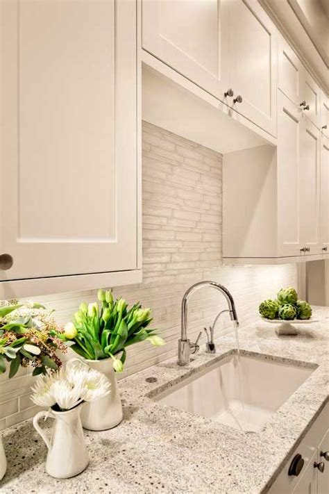 Granite Countertop Ideas With Pros And Cons Shelterness