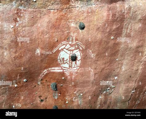 Mud Wasp Nests Rock Art Hi Res Stock Photography And Images Alamy