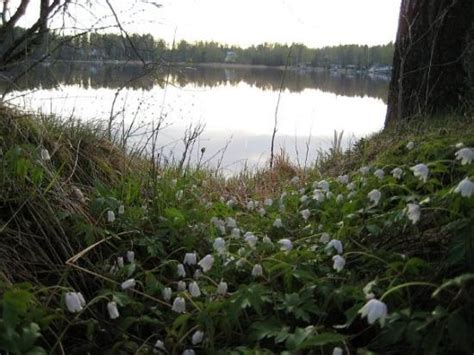 Veikkola, Finland 2024: All You Need to Know Before You Go - Tripadvisor