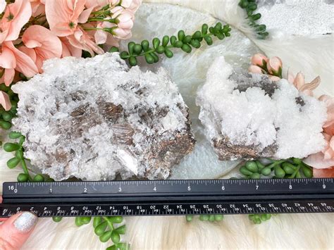 Mexico Selenite Clusters - White & Tan Coloring