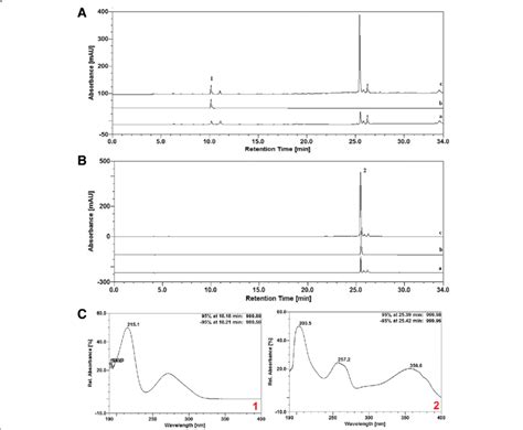 Hplc Dad Analysis Of Hexane Extract From Spondias Tuberosa Leaf Download Scientific Diagram