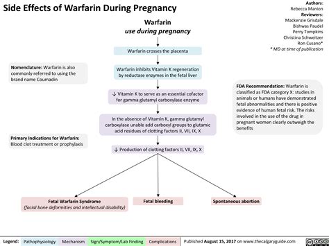 Side Effects of Warfarin During Pregnancy | Calgary Guide