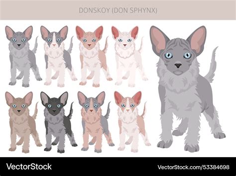 Donskoy don sphynx cat clipart all coat colors Vector Image