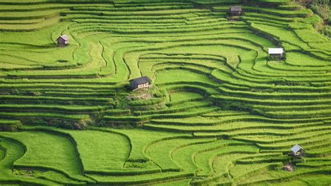 Bing image: Rice terraces of Mù Cang Chải, Yên Bái province, Vietnam - Bing Wallpaper Gallery