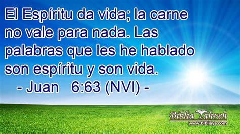 Juan 6 63 NVI El Espíritu da vida la carne no vale para n