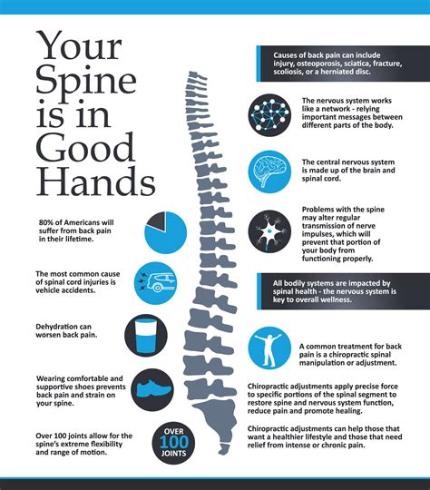 Your Spine Is In Good Hands: Infographic – Brookfield Chiropractor