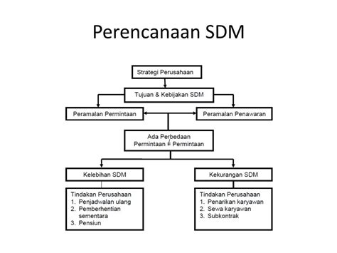 Contoh Perencanaan Sdm Dalam Perusahaan 43 Koleksi Gambar