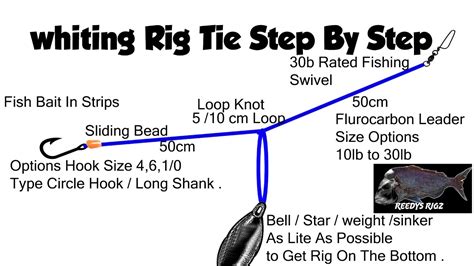 Whiting Rig Fishing Rigs Pre Tie Tutorial Step by Step Rigging