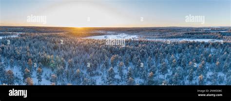 Scenic Aerial Sunset Panorama Of Northern Pine Tree Forest Sun Rays