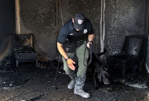 Safd Arson Dog To Make National Tv Debut