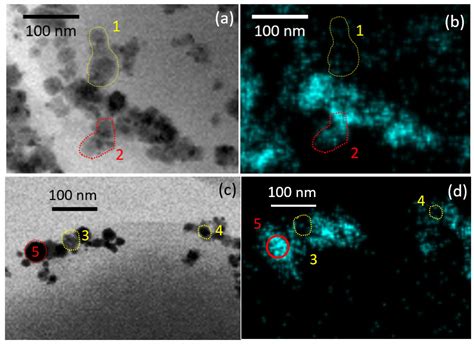 Nanomaterials Free Full Text Direct Bactericidal Comparison Of Metal Nanoparticles And Their